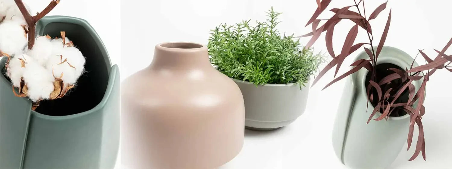 Collection of potted plants and a ceramic vase from the Cafe Series arrangement.