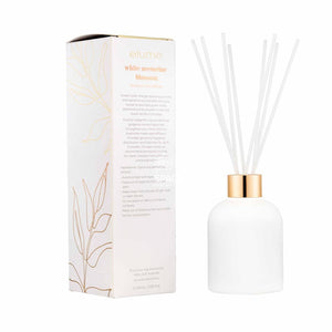 elume - White Nectarine Boutique Reed Diffusers - Fragrance Diffuser - elume